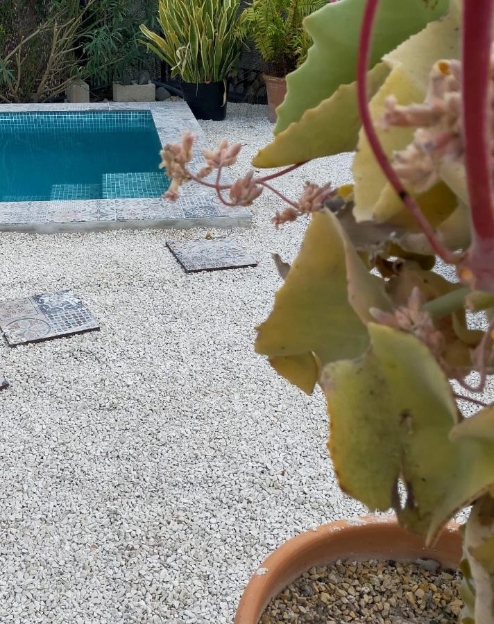 Casa Eline De Lujo Casco Antiguo Altea Piscina Privada Y Jardin Villa Eksteriør bilde