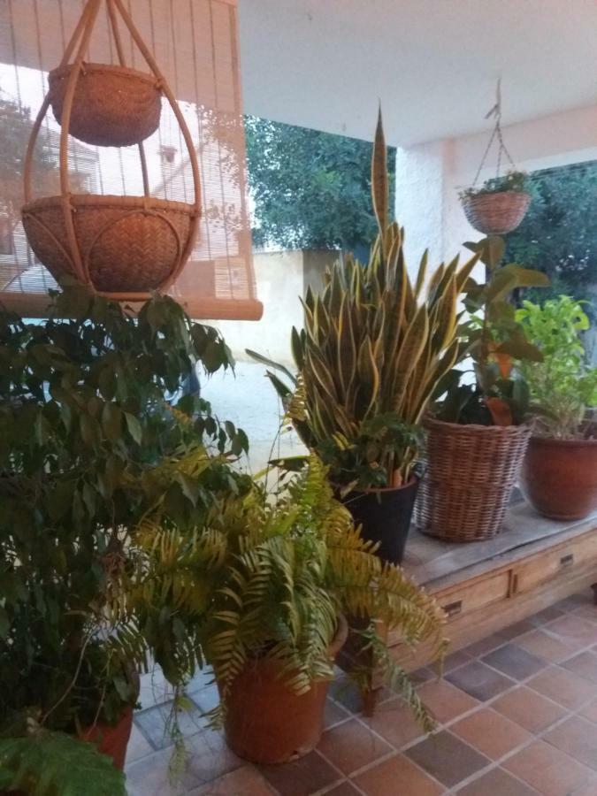 Casa Eline De Lujo Casco Antiguo Altea Piscina Privada Y Jardin Villa Eksteriør bilde
